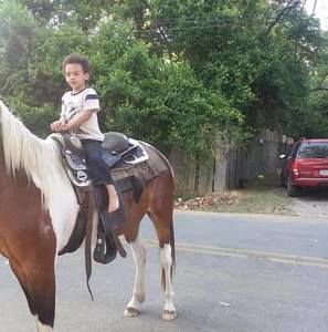 Meet your Posher, Quint